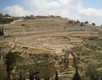 E SEREIS MINHAS TESTEMUNHAS - por Cecília Castro