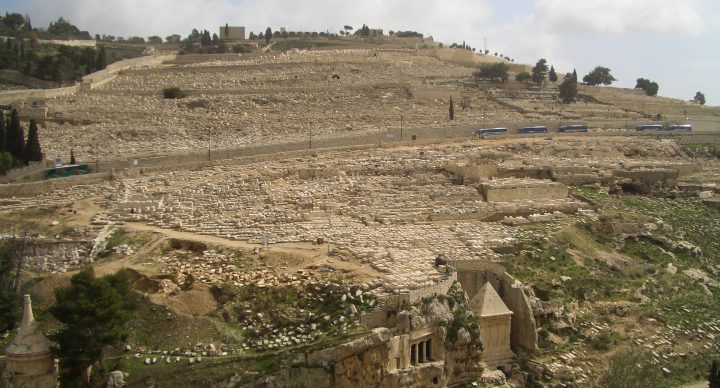 E SEREIS MINHAS TESTEMUNHAS - por Cecília Castro